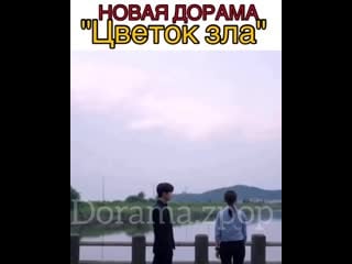 Dorama zpop 20200609 1 mp4