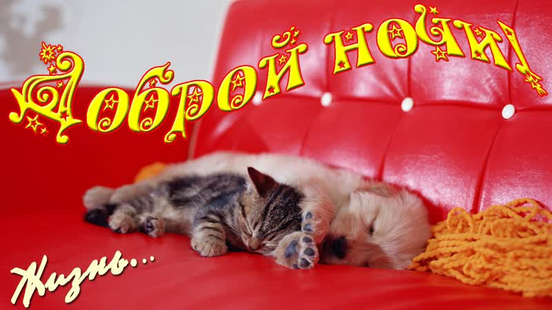 Тушите свет! и всем спать! спокойной ночи!