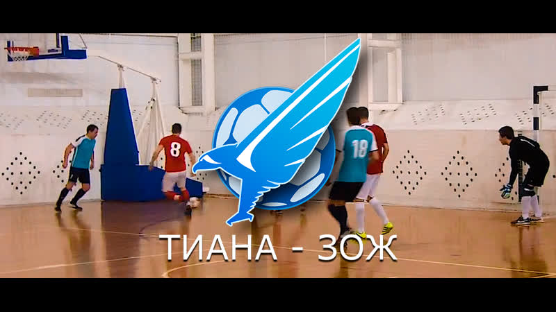 Дивизион фролова тиана зож 16