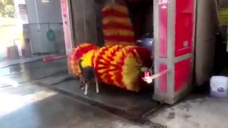 Гигиена