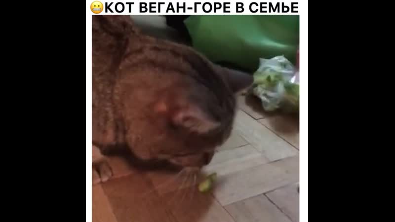 Большой любитель огурчиков