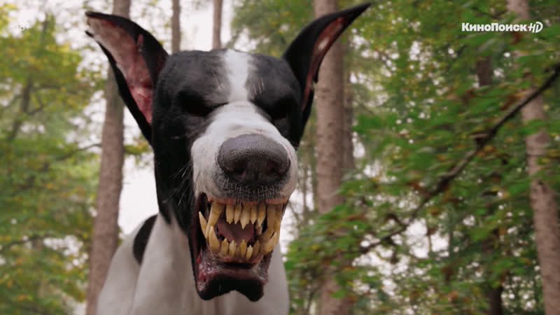 Благие знамения на кинопоиск hd