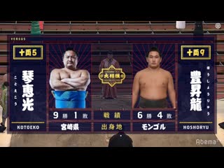 Kotoeko vs hoshoryu haru 2020, juryo day 11