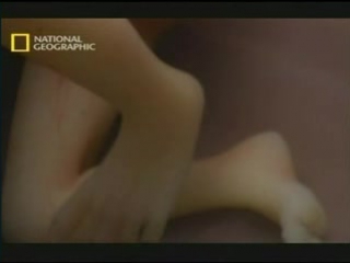 Discovery channel секс изнутри