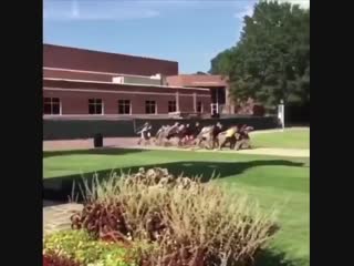 Locals seeing armys running around trying to find the hidden codes for armypedia