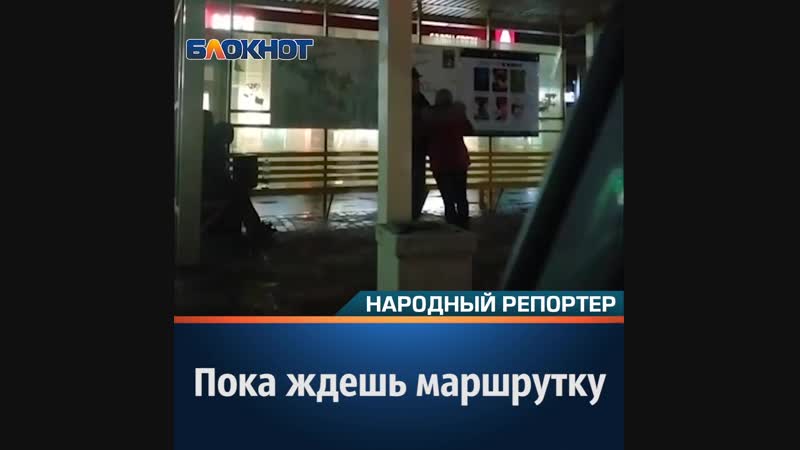 Пока ждешь маршрутку