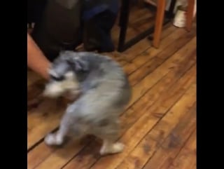 160425 yano instagram video update