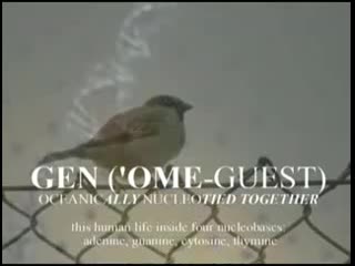 Gen ('ome guest) (alva noto ryuichi sakamoto insen avaol)