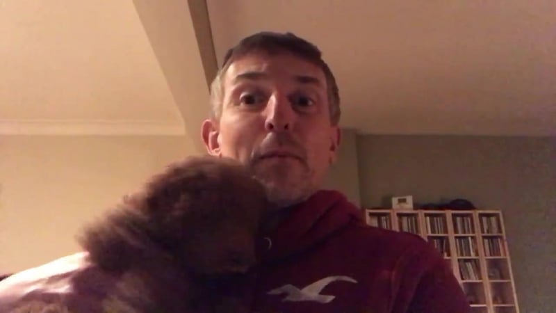 David richardson explains transference