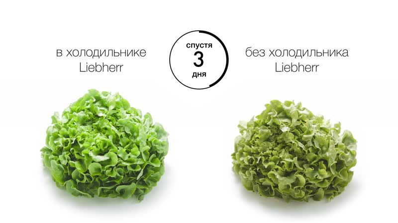 Сохраните продукты свежими максимально долго