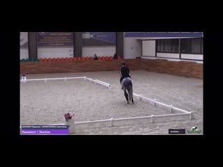 Cadre noir в медиатеке maxima tv