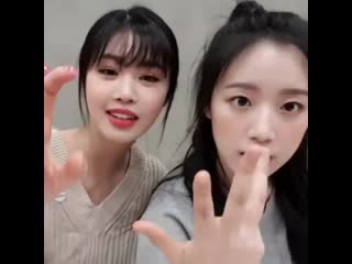 Baby shuhua and soojin or baby's