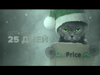 25dec carprice cat