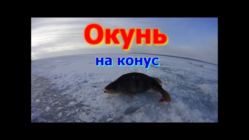 Зимняя рыбалка окунь на конус