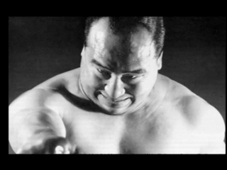 Mas oyama clip by daisukey