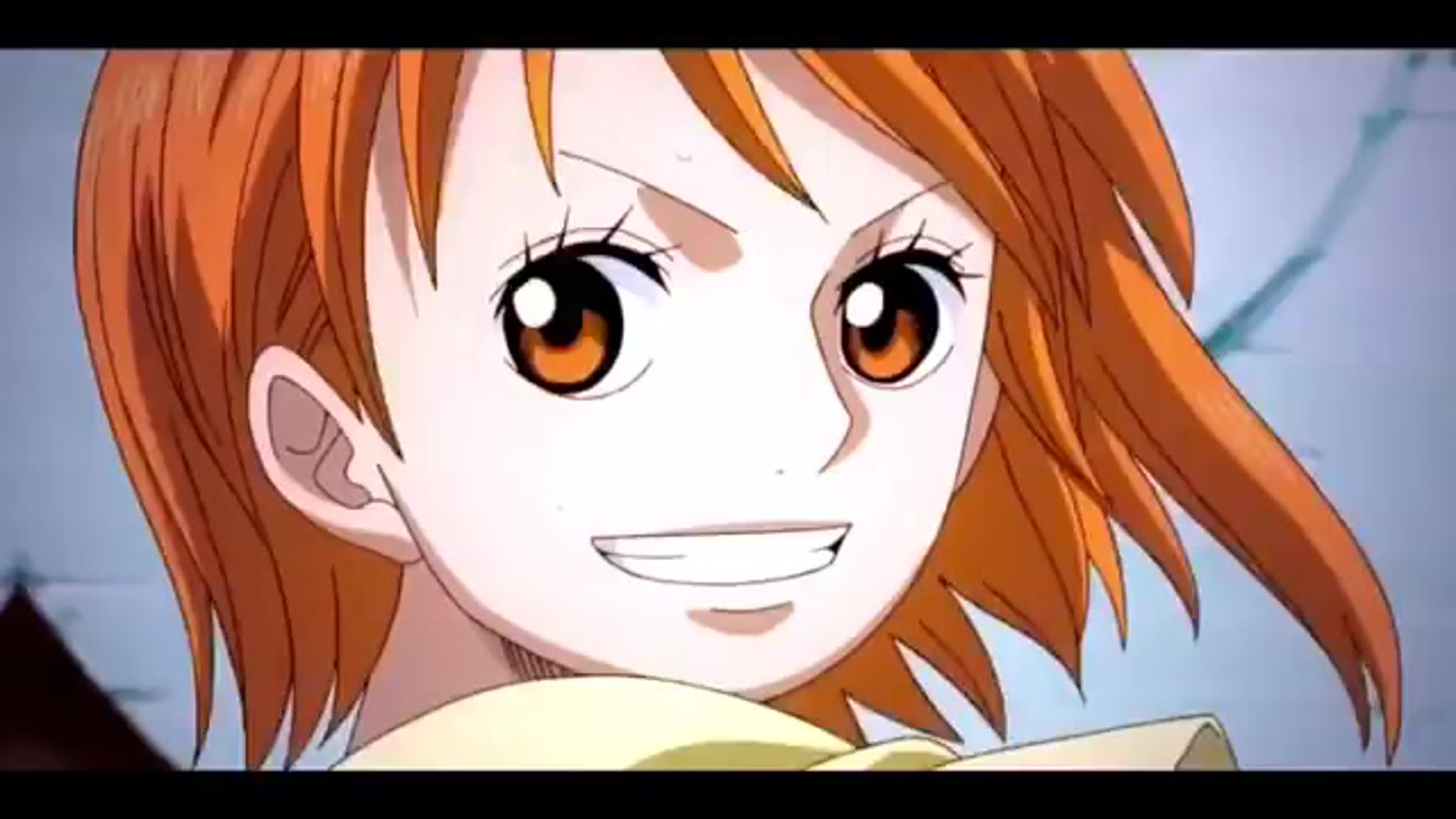 ` one piece vine / edit ☠ nami