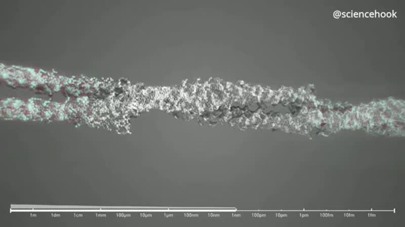 Zooming porn video – Zooming into quarks