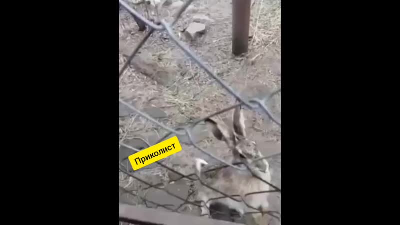 Лучше бы не заходил