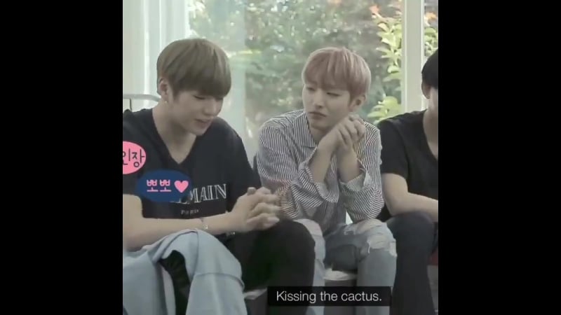 Даник любит целовать кактусы?