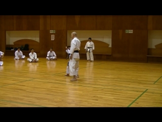 Jkf 平安初段 heian shodan seminar by noboru kato 2017 05 20@nagaoka 全空連基本形三