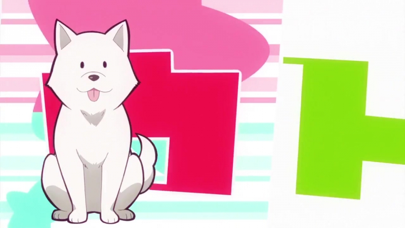 Dropout porn video – Gabriel dropout op
