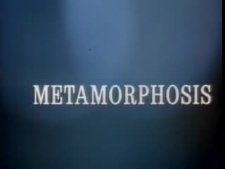 Метаморфоза / metamorphosis (1990) с переводом