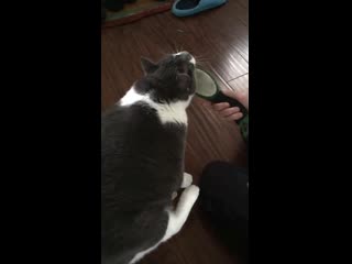 Всё приходится делать самому