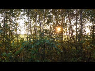 Spassk summer v (july, 2020)