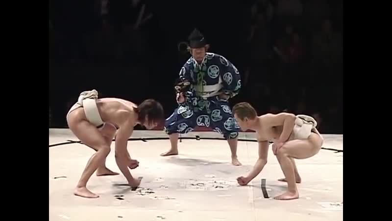 Kota ibushi vs shinobu sumo