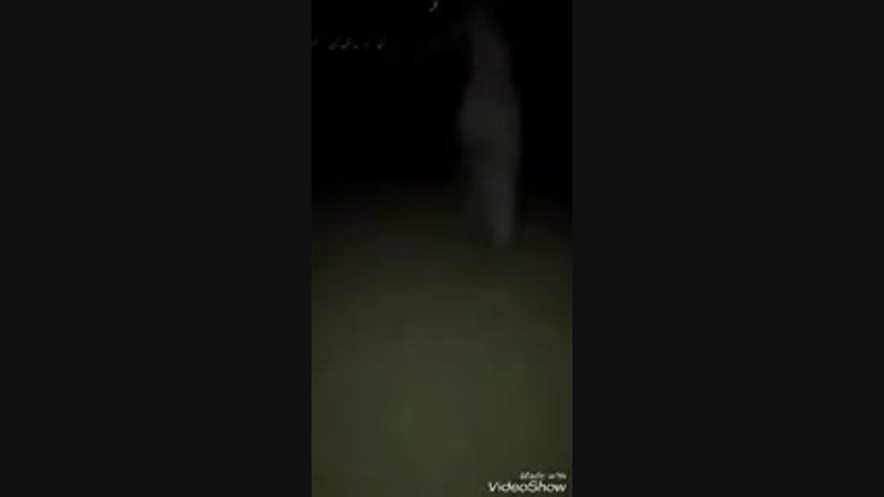 Подожди, это я шамиль дай (240p) mp4