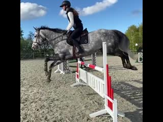 Caroline amalie equestrian 20200517 172409 0 mp4