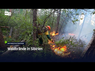 Waldbrände in sibirien