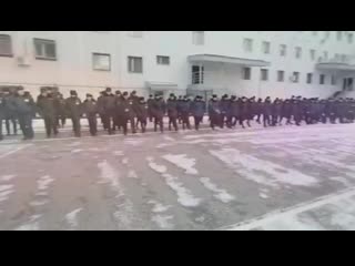 Ролик умвд россиипог сургуту mp4