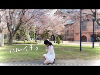 ~【わかめ】ハルイチ。【ゆるく踊ってみた】 niconico video sm40411406