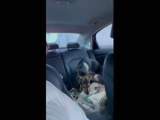 Пенка в машине 2