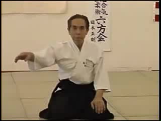 *****(daito ryu дзю дзюцу) aiki shinden seigo okamoto