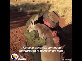 This man has dedicated his life to saving kangaroos