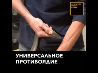 Универсальное противоядие