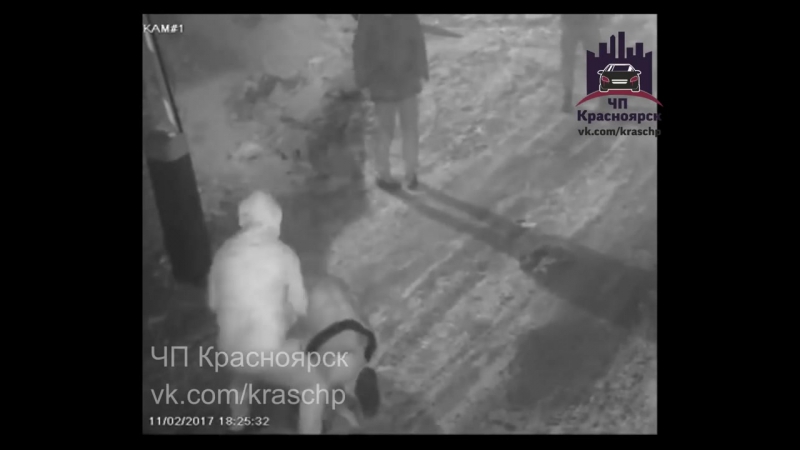 Отморозки жестоко избили лежачего парня битой