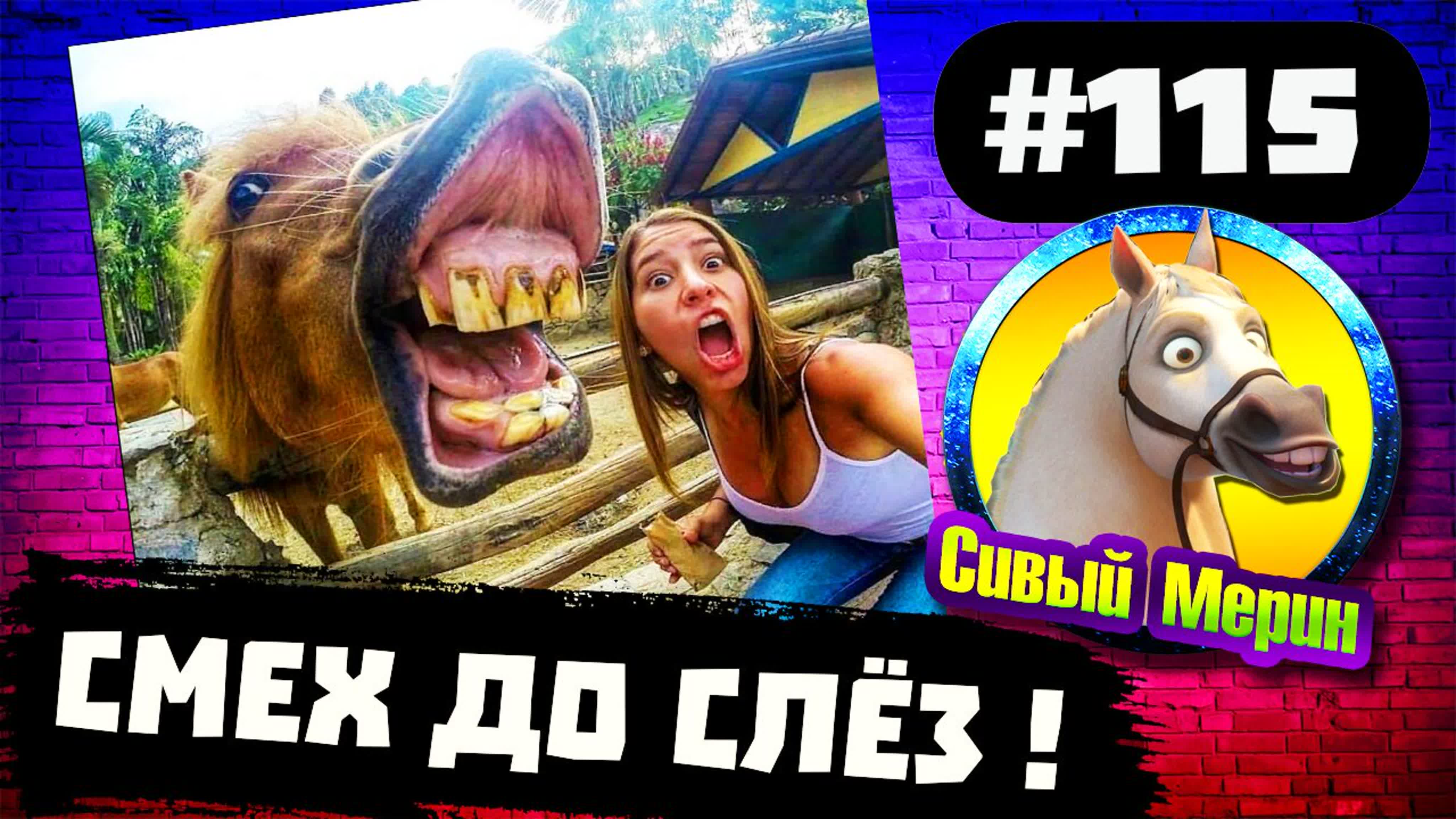 Улетные приколы 🤣 смешные моменты про молодые 😅 нарезка видео приколов 😂  ржачные приколы до слез 🌈 #115 watch online