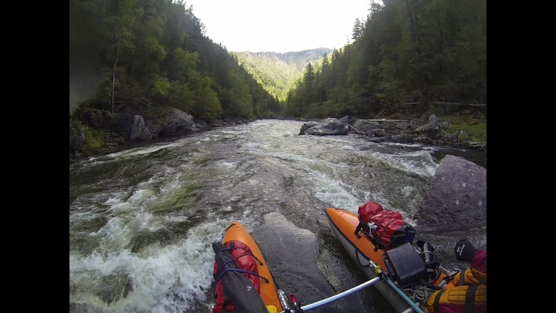 Улуг о 2016 аллигатор