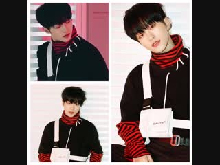 190202 • 'we must love' motion signalment • laun