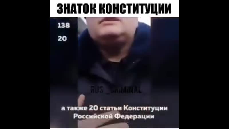 Знаток конституции