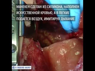 Суперреалистичный манекен для обучения