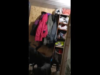 Vid 20191022 171628 mp4