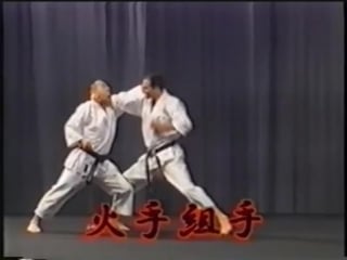 Karate tetsuhiko asai kihon and kata