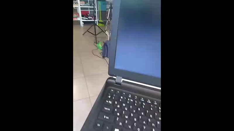 Жучки паучки | антикафе ● live