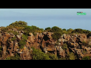 Wrc 2014 round 6 rally italia sardegna preview