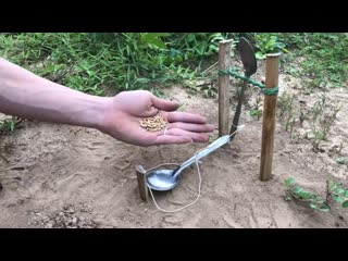 Bird trap make from two spoons /​​​​​​​​ you know about how to create this bird trap ? bird trap make from two spoons /​​​​​​​​