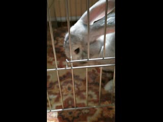 Sl mo vid 20190713 121501 mp4